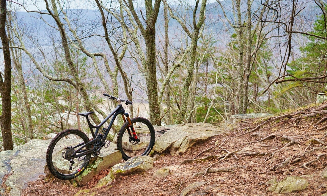 Trail Bike vs Enduro Bike — Is There a Better Choice For You?